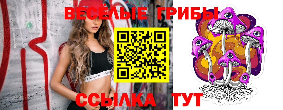 Псилоцибиновые грибы ЛСД Артёмовский