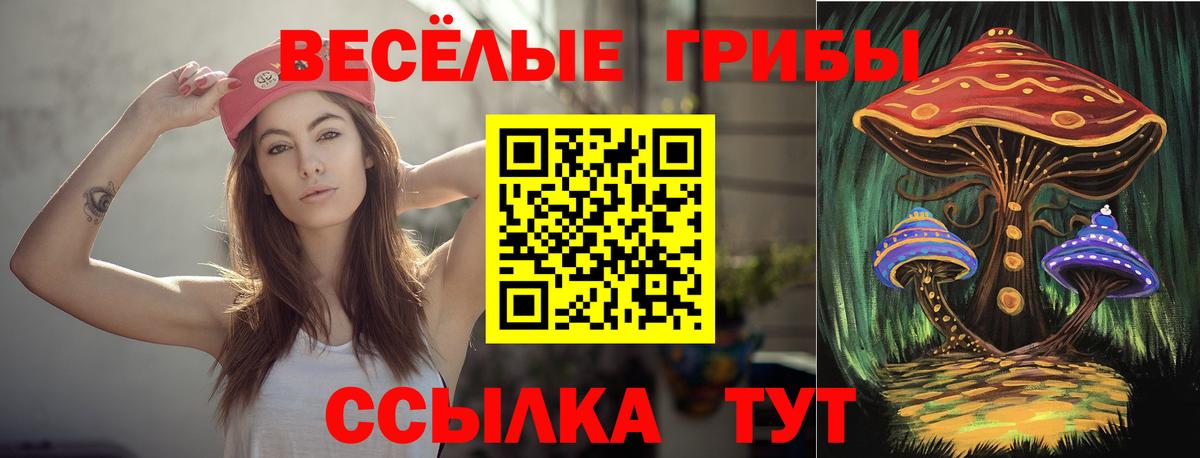 Псилоцибиновые грибы Psilocybe  Вход с VPN  Псилоцибиновые грибы MAGIC MUSHROOMS  Артёмовский 